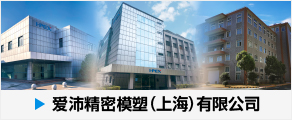 爱沛精密模塑(上海)有限公司